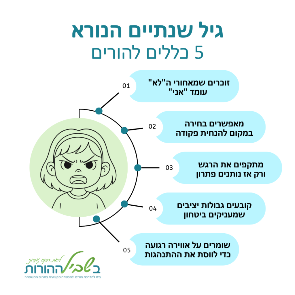 תמונת מידע של גיל שנתיים הנורא המציגה 5 כללים להורים
